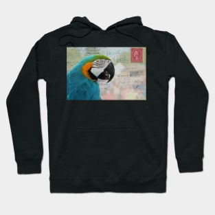 Macaw Parrot on Vintage Postcard Hoodie